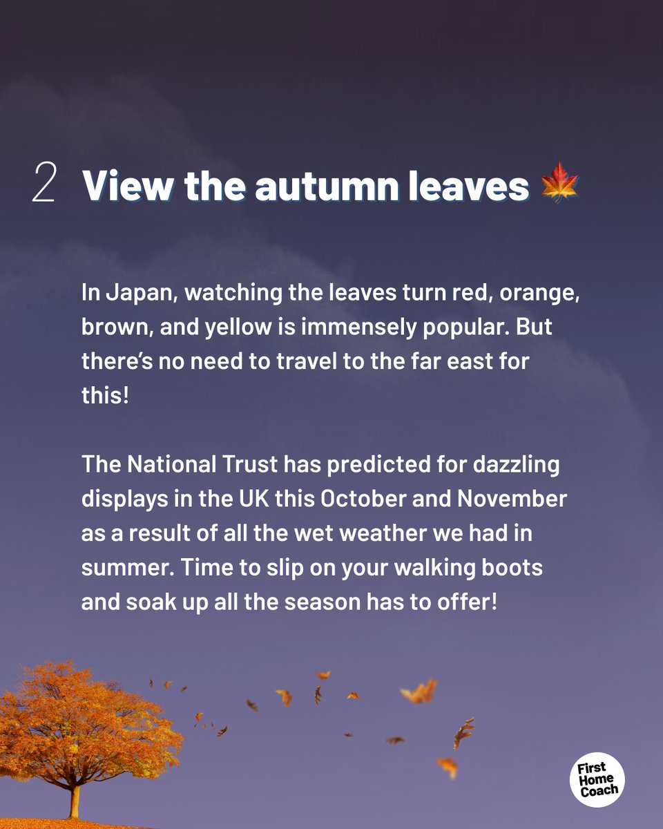 FirstHomeCoachUK tweet media