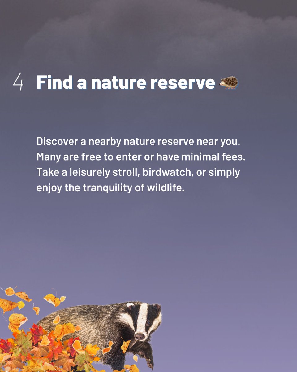 FirstHomeCoachUK tweet media