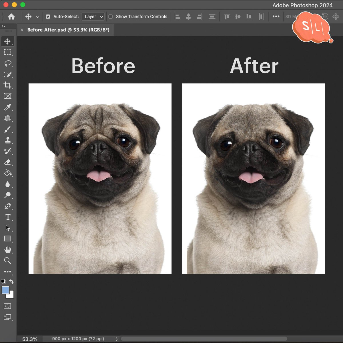 onsalmonlab's tweet image. ฝีมือ Photoshop หนูไม่ดีตรงไหน!?
.
#BestFriendClinic #SalmonLab