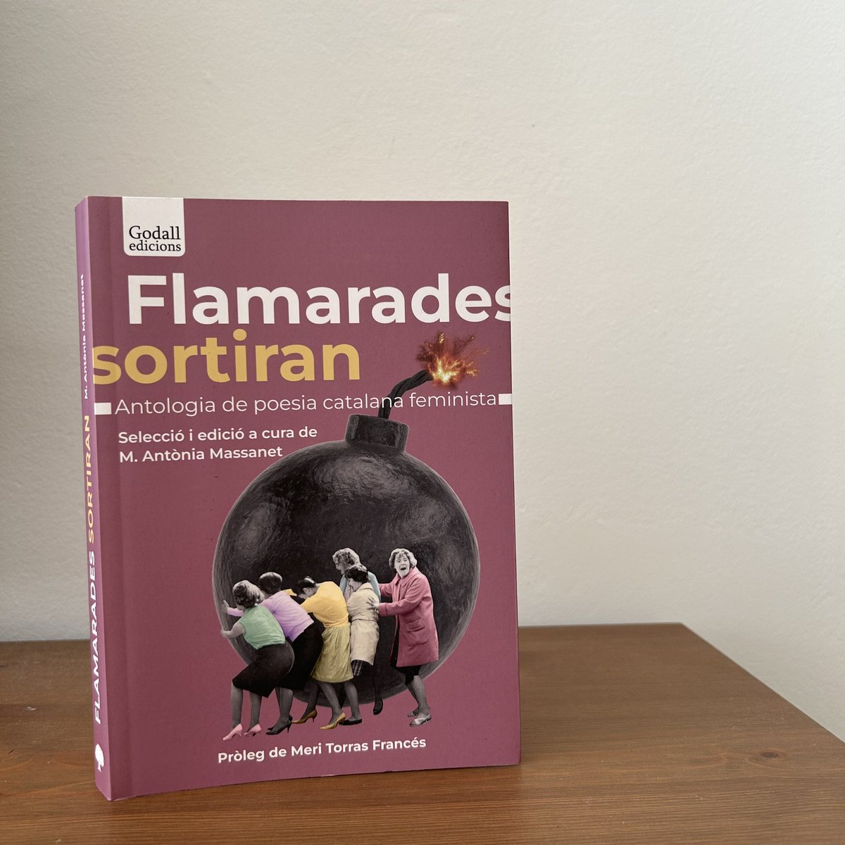 ✍🏼 «Dividida en vint temes —cadascun amb la seva bibliografia per poder-hi navegar–, aquesta antologia és una Medusa de vint caps que atura les inèrcies patriarcals, els insults, l’hostilitat rebuda per generacions i generacions de dones.»

Agraïdes per aquesta ressenya✨❤️‍🔥