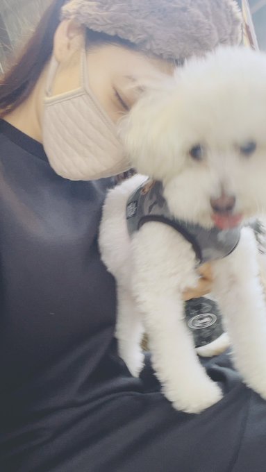 😋👅 https://t.co/ZkeapaQHcL<a href="/tag/%E5%8F%B0%E7%81%A3%E6%94%9D%E5%BD%B1%E6%9C%83"class="tags"><span>#台灣攝影會</span></a><a href="/tag/foraver%E6%94%9D%E5%BD%B1%E6%9C%83"class="tags"><span>#foraver攝影會</span></a><a href="/tag/foraver%E6%92%AE%E5%BD%B1%E4%BC%9Ain%E5%8F%B0%E6%B9%BE"class="tags"><span>#foraver撮影会in台湾</span></a>