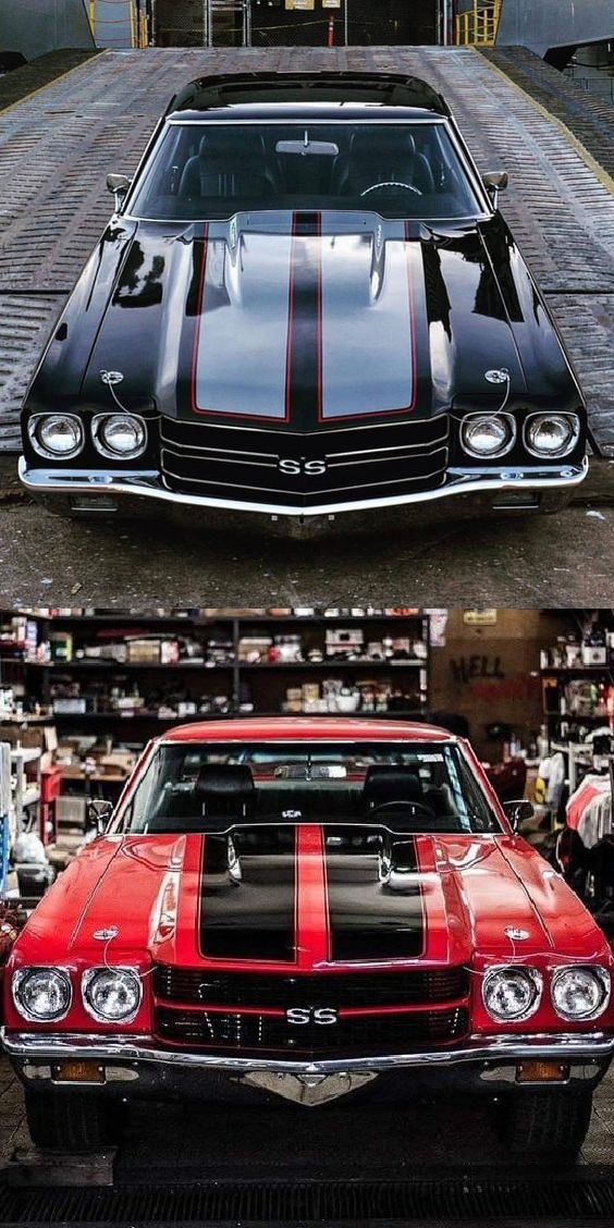 AmericanMusclePower tweet media