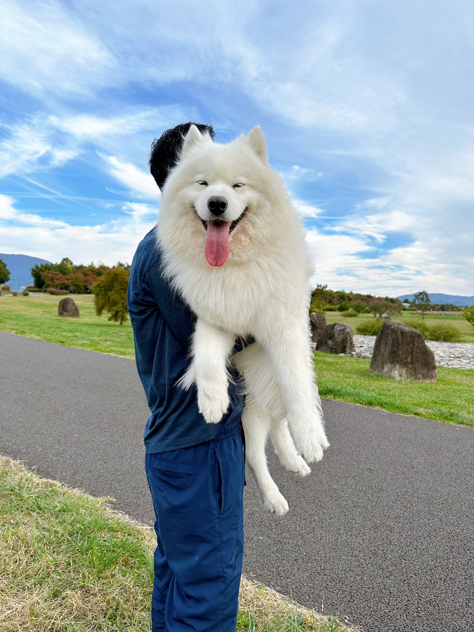 Samoyed/365DayDenim サモエド デニム MY SAMOYED] 365 Day Denim (Wave Blue) | ファッション通販