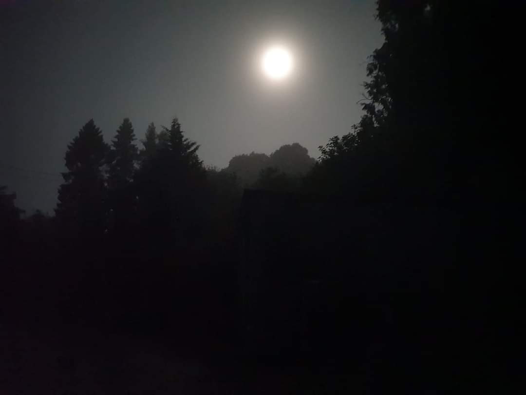 🎃FULLY BOOKED 🎃

Our Creepy Quest &amp; Bats Fantastic events are fully booked 😱

Sunday 22nd October is the Frightful Fishing Competition 🎣 10am - 3pm
£20 
To book: PayPal gerry.quinn@creggancountrypark.com 

#Halloween #events #samhain #DerryHalloween #Spooky #october #outdoors