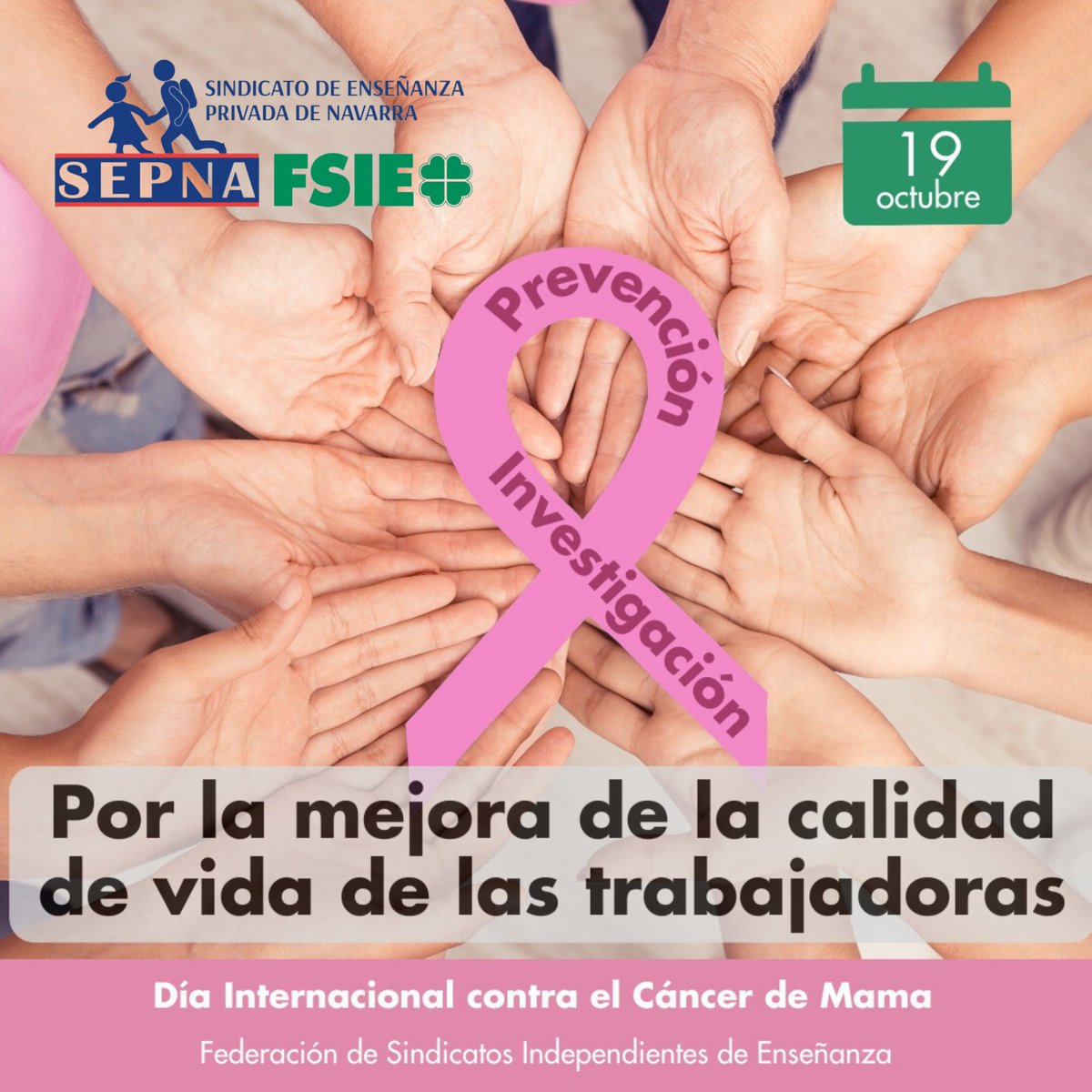 sepna_fsie's tweet image. 🎗️ 📷 En el #DiaContraelCancerdeMama, en #FSIE reivindicamos mejoras que ayuden a reducir el estrés de las trabajadoras de los centros de #enseñanza y de #discapacidad. Medidas como la reducción de carga lectiva y burocrática. 📷buff.ly/3rZDnTp #SomosFSIE📷 🍀