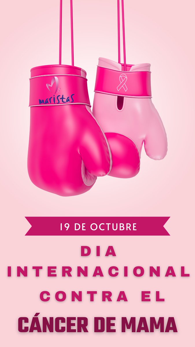 Maristas Cartagena (@maristasct) on Twitter photo 
