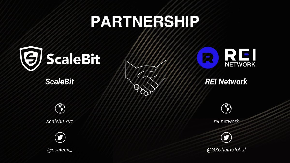 ScaleBit tweet media