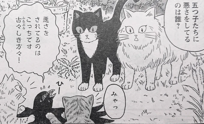 『裏の家の魔女先生』第31話 

今回は小動物多めでお送りしております。
面白いですよ。

現在発売中のヤングチャンピオン烈 No.11に掲載されてます。
よしなによしなに。 