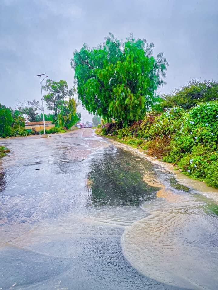 Ceerigaaba-Sanaag ❤️