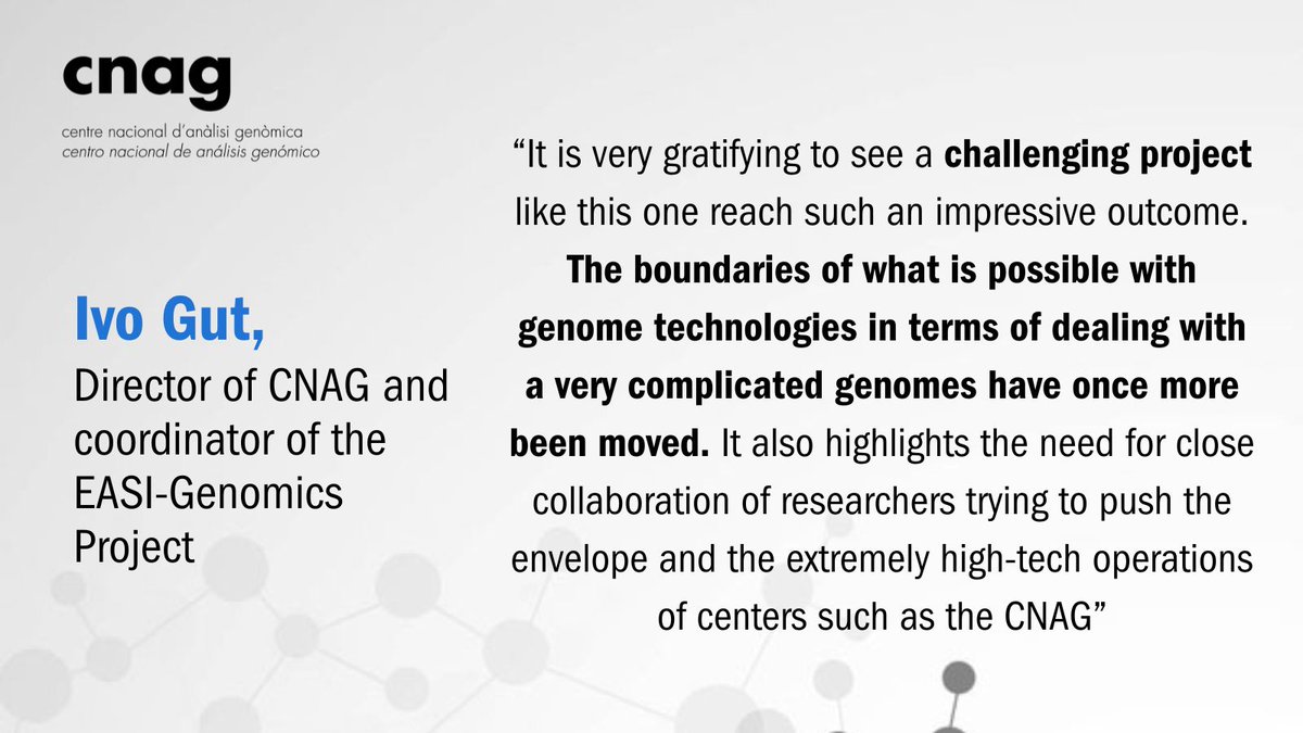 CNAG (@cnag_eu) on Twitter photo 💫The study was funded by the international project <a href="/EasiGenomics/">EASI-Genomics</a>
➕A collaborative initiative coordinated by Ivo Gut (the director of #CNAG) whose aim is to provide #DNA sequencing technologies to researchers from academia & industry
ℹ️academic.oup.com/g3journal/adva…
#Researchpaper 💫The study was funded by the international project <a href="/EasiGenomics/">EASI-Genomics</a>
➕A collaborative initiative coordinated by Ivo Gut (the director of #CNAG) whose aim is to provide #DNA sequencing technologies to researchers from academia & industry
ℹ️academic.oup.com/g3journal/adva…
#Researchpaper