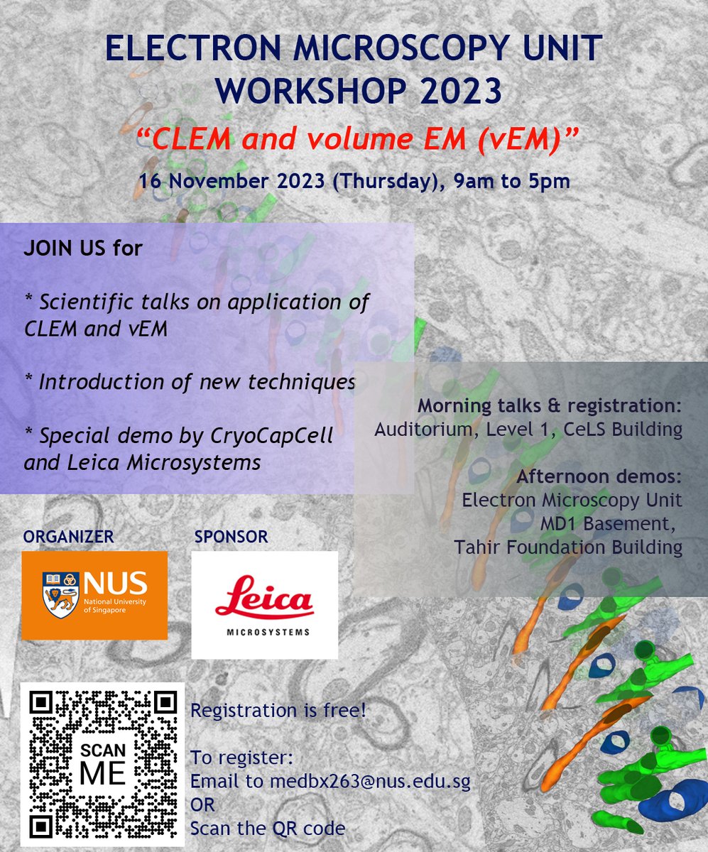 Electron Microscopy Unit Singapore (@emu_nus) on Twitter photo We are having the second workshop of the year, on CLEM and vEM! There will be scientific talks from users and instrumentation talks from vendors in the morning, and demos by the vendors in the afternoon. Scan the QR code to register. We are having the second workshop of the year, on CLEM and vEM! There will be scientific talks from users and instrumentation talks from vendors in the morning, and demos by the vendors in the afternoon. Scan the QR code to register.