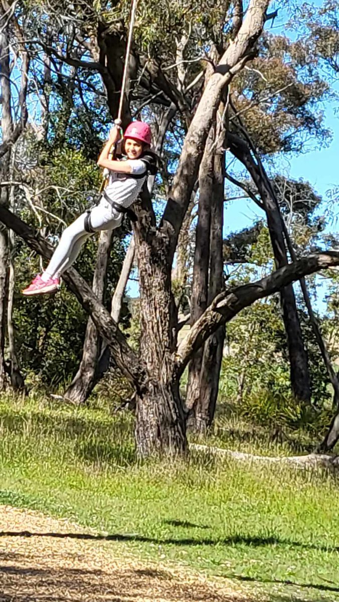 St Bridget's Primary School tweet media