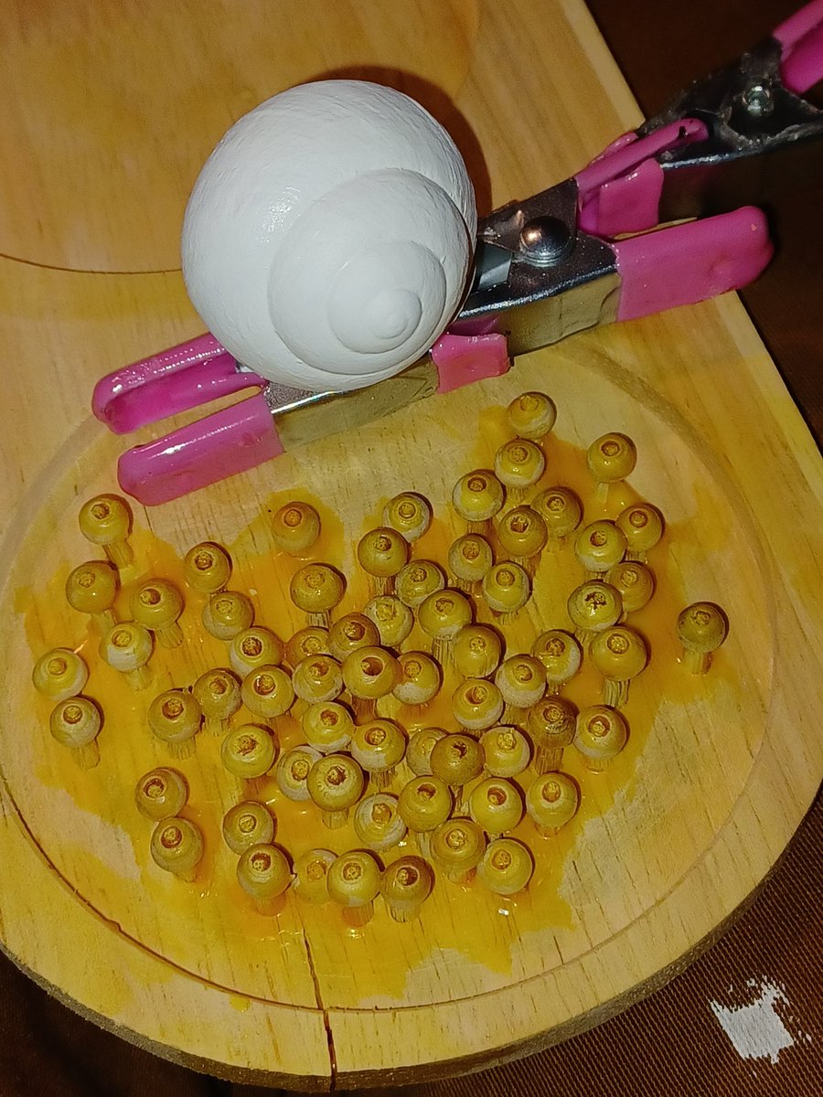AndMiniature's tweet photo. Working on a snail 🐌 that just laid a bunch of eggs 🥚 🪺 ❤️🙂 https://t.co/5g7ThT8t5E