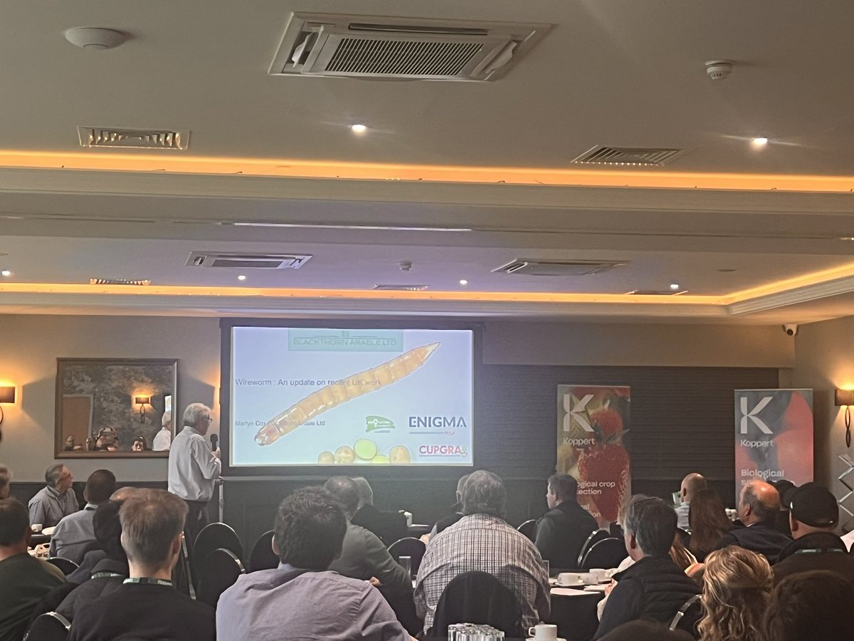 Dr Richard Binks 🇺🇦🐝 tweet media