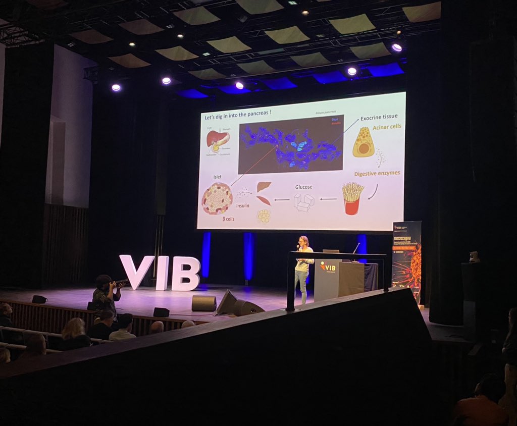 Great poster-pitch from Aude Jallon at the EMDS2023@VIB conference: meet the pancreatic macrophages!! 🙌🏻