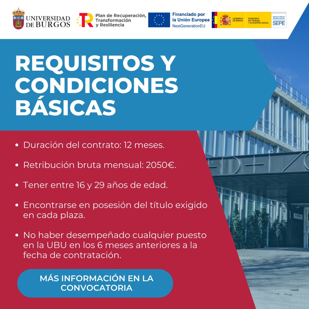 ICCRAM_UBU's tweet photo. ⚠️La Universidad de Burgos convoca 18 plazas para la contratación de personal técnico de apoyo.🔬Tres de ellas están vinculadas a #ICCRAM. Para conocer los detalles, echa un vistazo a la convocatoria: 
https://t.co/BrIKZf2FMg

📝PRESENTACIÓN DE SOLICITUDES: HASTA EL 31 DE OCTUBRE https://t.co/bNiJUGQS0s