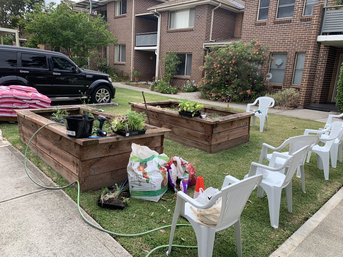 Meet the gang at dumul pl Hebersham, lovely team bit of a revamp with Evolve Housing today . One of the main original gardeners had passed away. This garden was started in 2017 and was part of the evaluation study with <a href="/westernsydneyu/">Western Sydney University</a> <a href="/tonialgray/">Tonia Gray</a> <a href="/WardKumara/">Kumara Ward</a> .