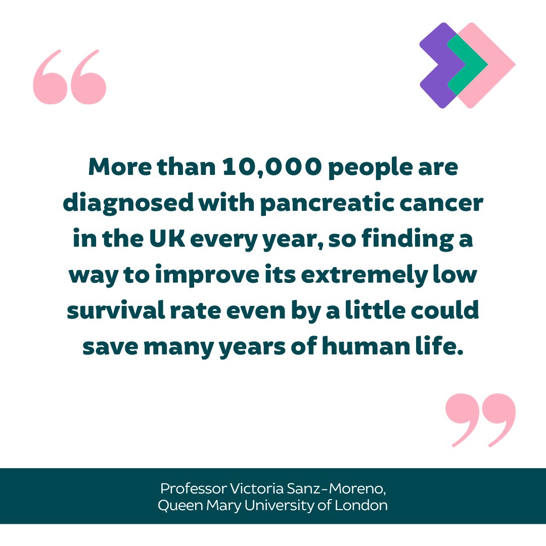 Pancreatic cancer is notoriously hard to diagnose and treat, and survival rates remain low. With our funding, researchers at @QMBCI @QMUL have identified cells that drive the spread of cancer to the liver. Read more ➝ bit.ly/46XiJSC (1/2)