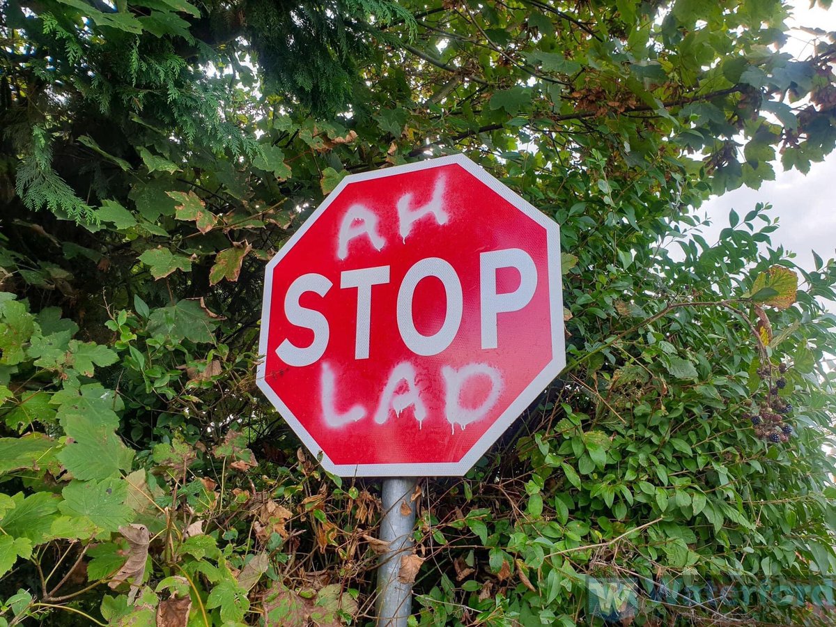 ALcarterob's tweet photo. Only in Ireland 🇮🇪 https://t.co/114K8TwxkY