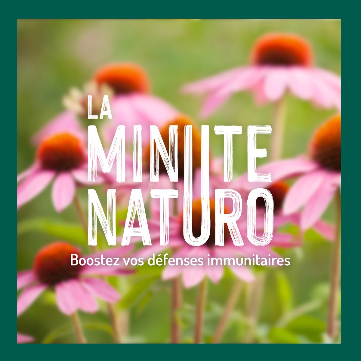 botanic® tweet media