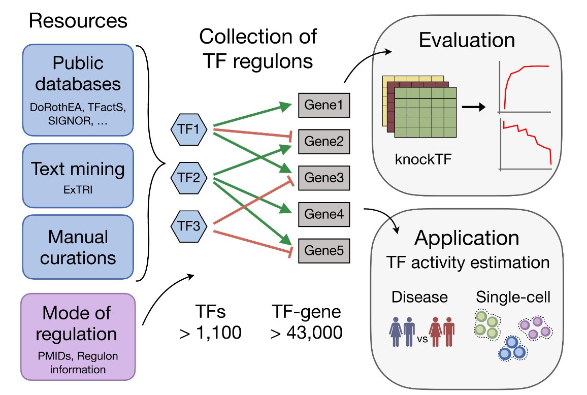 Accurate Transcription Factor (TF) activity estimation is key to interpret #transcriptomics data 🧬💡 In collaboration with @NTNU and @BSC_CNS, we present a high-confidence collection of signed regulons for >1000 TFs: academic.oup.com/nar/advance-ar…, now peer-reviewed @NAR_open 🧵⬇️