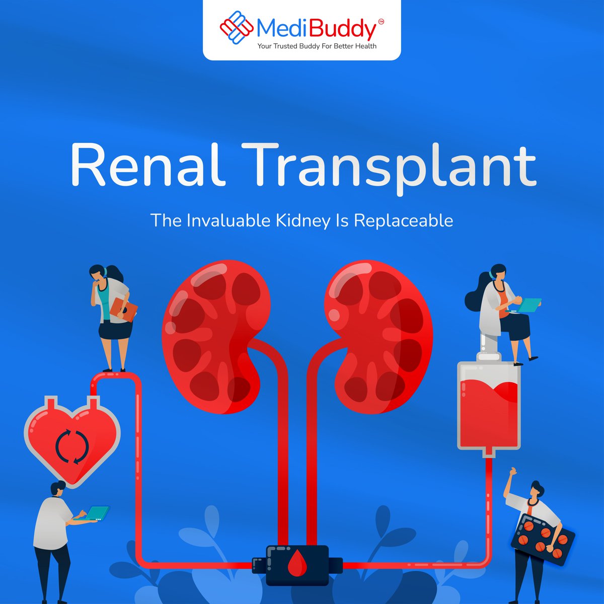 MediBuddyapp's tweet photo. About 180,000 individuals experience renal failure each year, yet only around 6,000 renal transplant surgeries are conducted.  

#Consult with our expert surgeons today, for free.

Fill out this form to get a callback!
https://t.co/fmHvENEx5Y

#SurgeryWithCare #MediBuddy https://t.co/fSx2LNokLo