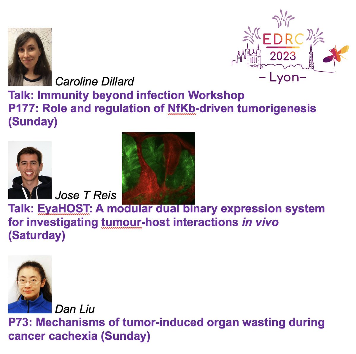 Tor Erik Rusten (@rustenlab) on Twitter photo We are excited to attend the long-awaited <a href="/EDRC2023/">EDRC2023</a> and engage in all the great science. Learn about some of our work at the "Immunity beyond infection" <a href="/CaroMCDillard/">Caroline Dillard</a> and "Disease models" <a href="/JoseTelesReis/">José Teles Reis</a> workshops, as well as poster P73 (Dan Liu, Sunday) We are excited to attend the long-awaited <a href="/EDRC2023/">EDRC2023</a> and engage in all the great science. Learn about some of our work at the "Immunity beyond infection" <a href="/CaroMCDillard/">Caroline Dillard</a> and "Disease models" <a href="/JoseTelesReis/">José Teles Reis</a> workshops, as well as poster P73 (Dan Liu, Sunday)