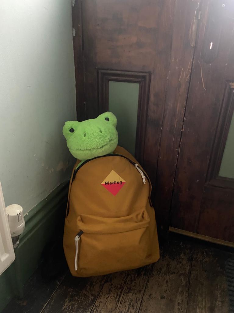 Well someone looks excited about the day ahead!!

Frogdrick the Forum Frog on his way with the @nlcbf @ypbmf team to the @CLNMovement #Senseofwellbeing conference in Manchester ahead of #NCLW 

Frogdrick it's going to be a busy month...enjoy!