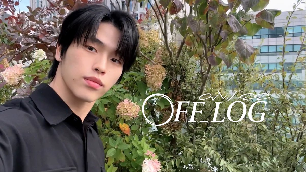 official_onlee's tweet photo. [OFF-LOG] ONLEE(이승환) 
고양이 빗질해주는 영상(with 햇살이☀)
ㅤ
➫[Official YouTube]
ONLEEOFFICIAL-im1mr
https://t.co/YwrnqSD0qJ
ㅤ
#ONLEE #온리 #이승환 #LEESEUNGHWAN
#그영화처럼우린 #BeWithYou #VLOG
#OFFLOG #브이로그 #오프로그 #고양이 https://t.co/sk5DwlohgE