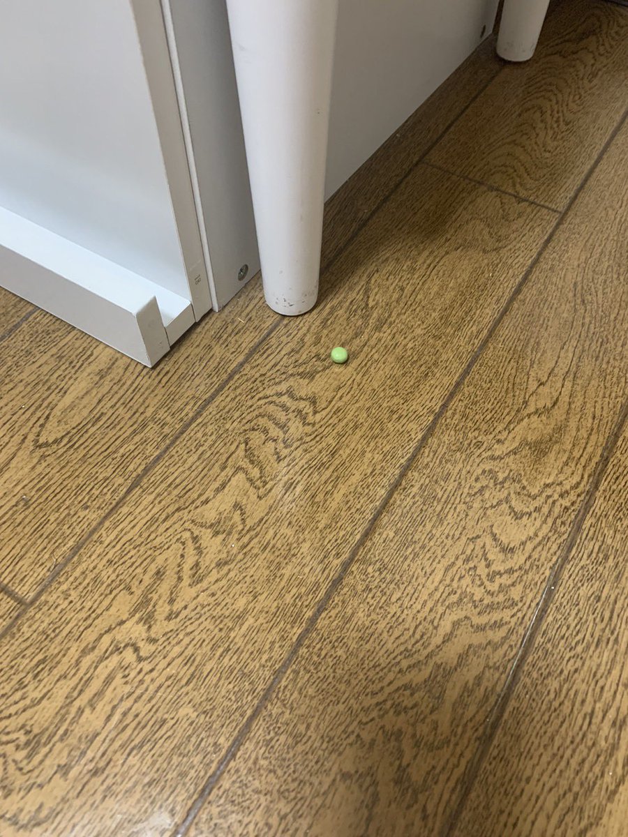 art_080439's tweet photo. 寝起きに､この小さい緑色の小さい物体
カメムシと思い逃げないようにティッシュで包んで確保､メガネを🥸かけて見たら…孫のお菓子のガムだった😶
朝からヒヤリした日､眼鏡🥸なしだとわからない､見えない…老眼… https://t.co/lCFiOLFIaw