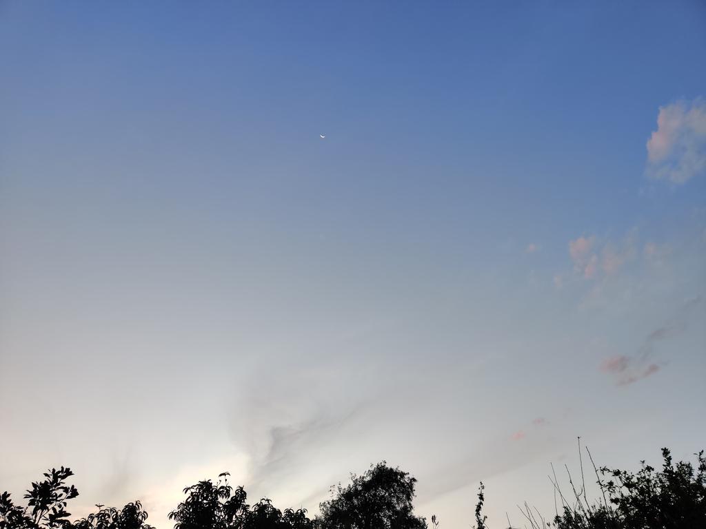 Julien Vincent tweet media