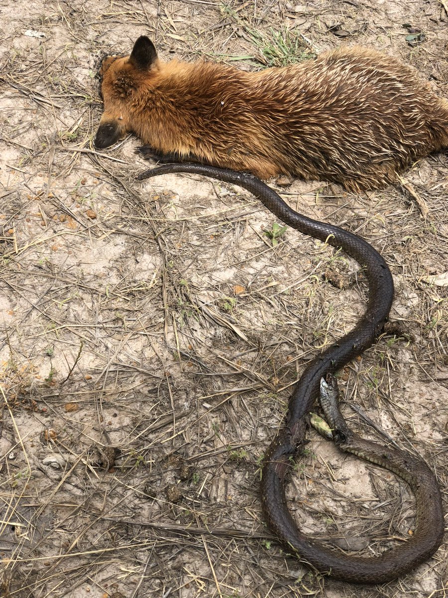 Photo from <a href="/johnboyfarmer/">john howard</a>  draws some parallels to current conflicts in the world #nowinners