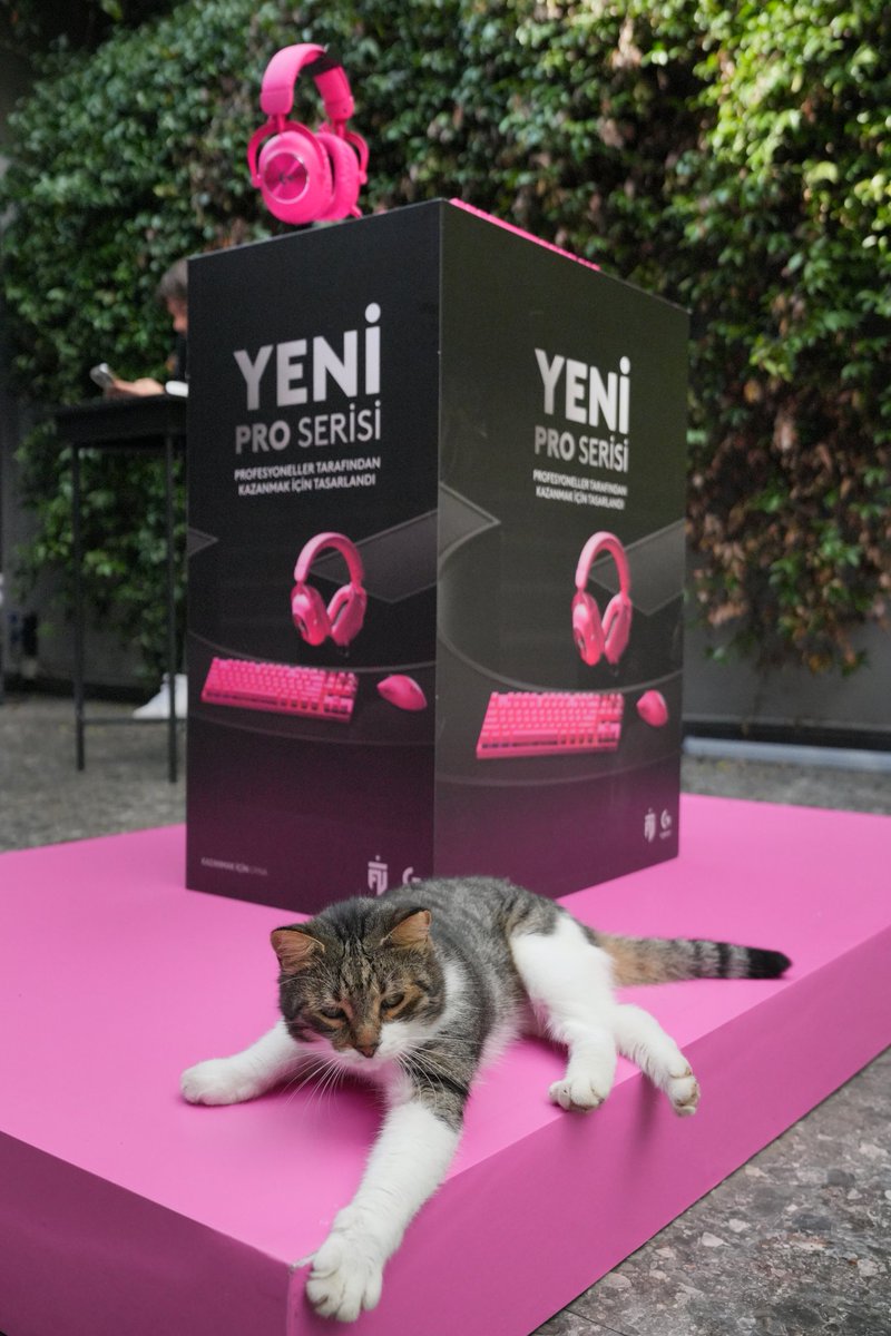 Gofret'in tercihi de Logitech G Pro X 2'den yana! 🐱 <a href="/LogitechTurkiye/">Logitech Türkiye</a>
