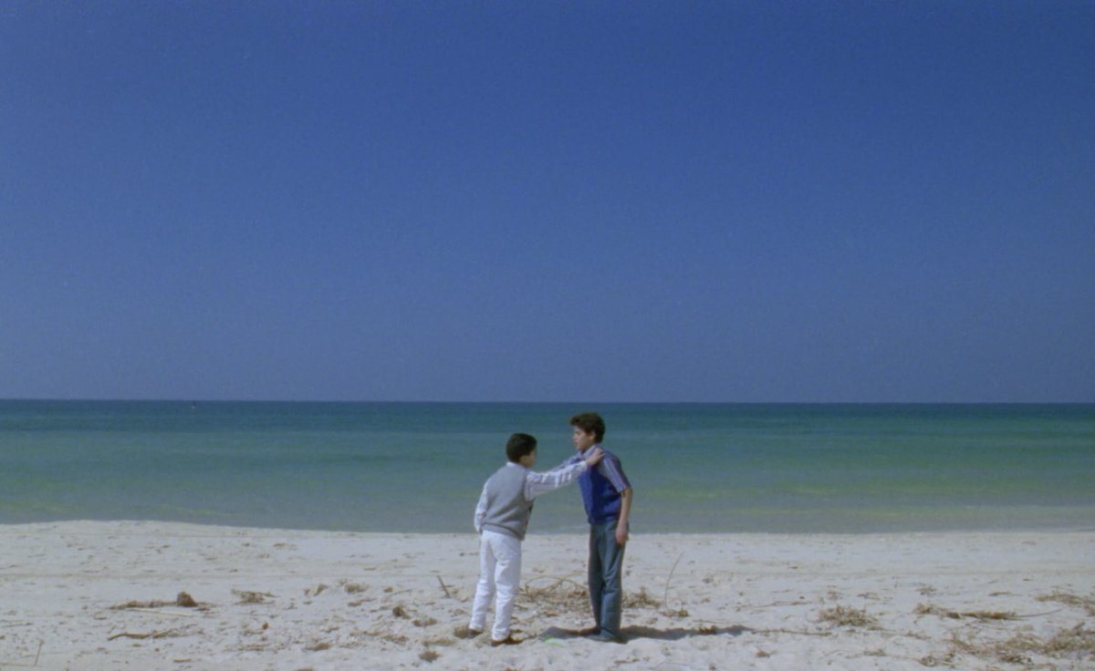 Tale of Three Jewels (1995) dir. Michael Khleifi was the first feature film ever shot entirely in Gaza. This is such a soft and moving story and is one of many Palestinian films made available to stream for free online by the Palestine Film Institute