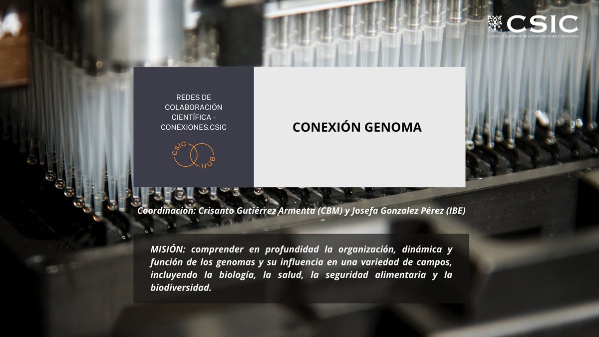 CSIC_VAACT's tweet photo. ⚫️La Conexión “#Genoma”, coordinada por Crisanto Gutiérrez (@CBMSO_CSIC_UAM) y Josefa Gonzalez (@IBE_Barcelona) trabajará en el #desafío de la #descodificación de la gran cantidad de información sobre el #genoma disponible en la actualidad.
#CSIChubs #IniciativasCientíficas https://t.co/E8cuSmlvFy