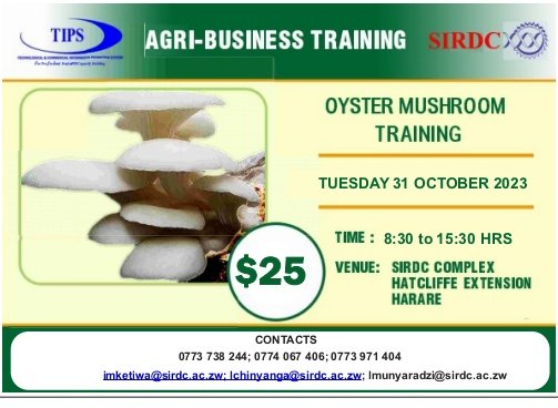 TipsZimbabwe's tweet image. Huyai tidzidzisina kurima hohwa!!!
Come for our Oyster Mushroom Training on the 31st of October 2023 @ SIRDC...