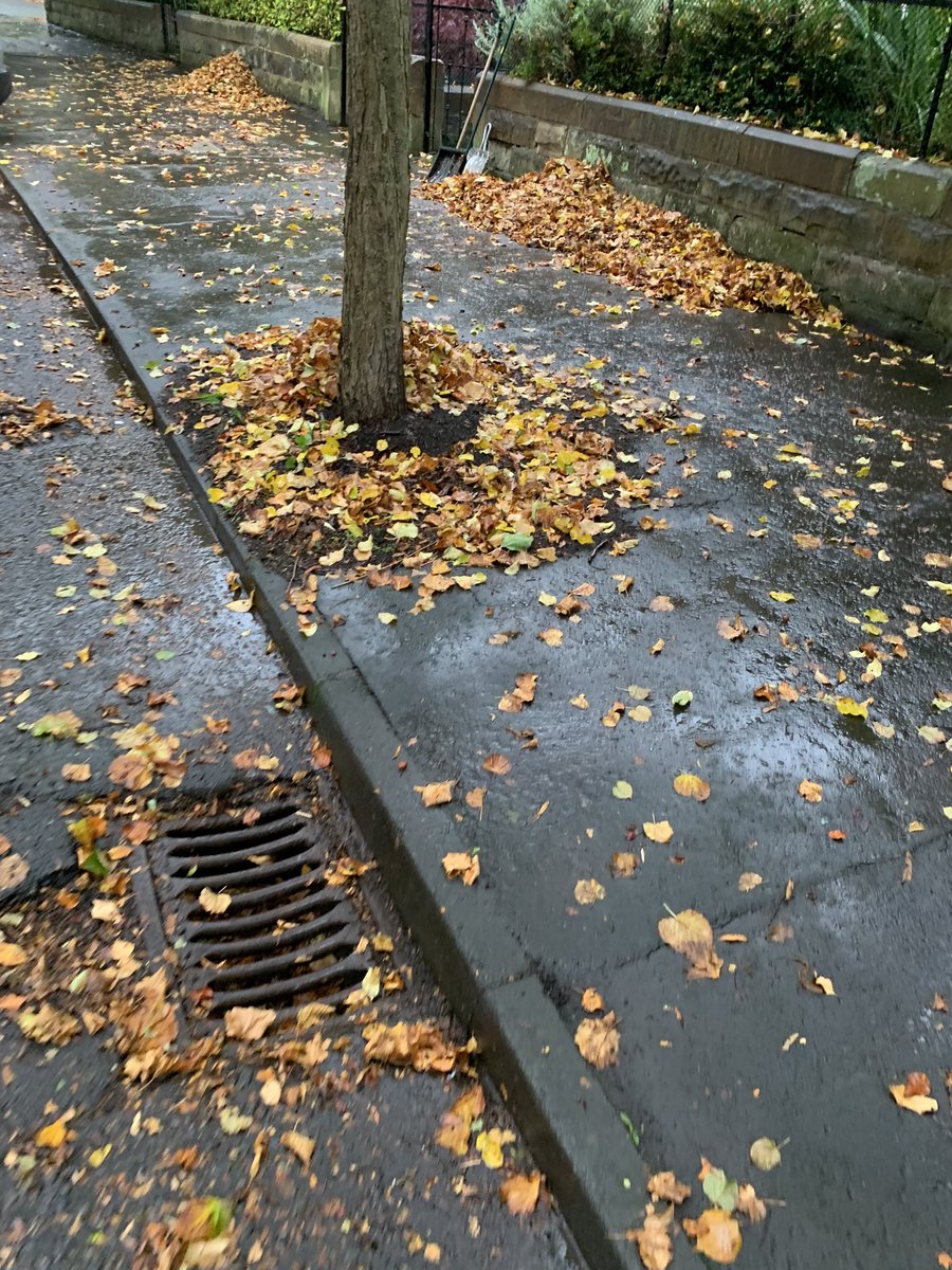 WalshyMEC's tweet photo. Hi @edinhelp I’m doing my best to keep our gutters clear as we often flood in EH10 4SL but our brown bins are full. Can you clear our pavements? https://t.co/jbiBfF7a6m
