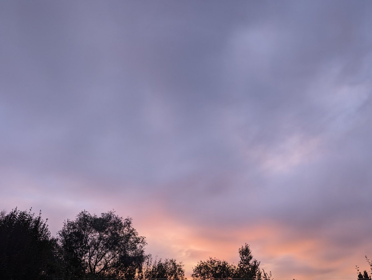 19.10.2023 | 07:30