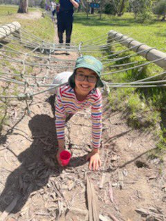 St Bridget's Primary School tweet media