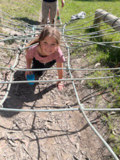 St Bridget's Primary School tweet media