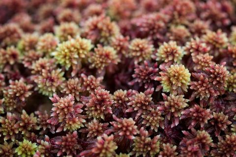WTBridget's tweet photo. UK’s biggest nature charities, including @WoodlandTrust, publish shared Nature Markets Principles to help combat corporate greenwashing 

https://t.co/Uup7kYaEli https://t.co/1nHqWrBBnP