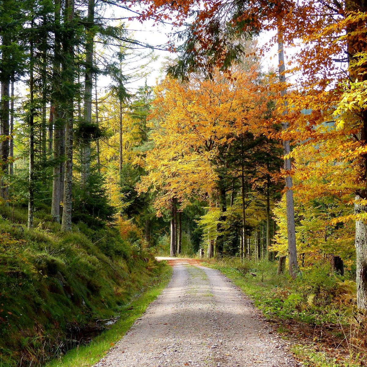 heidi_irmeli's tweet photo. Tässä on linkki uuteen blogini pätkän analysointiini
Here is a link to my analysis of a clip from my new blog
https://t.co/2b1K7nSQ9a
#syksy #autumn #syksy2023 #autumn2023 #instagram #twitterInstagram #xinstagram #avitus #hempula83 #skitsofreenikonajatuksia https://t.co/2MEepSKOV6