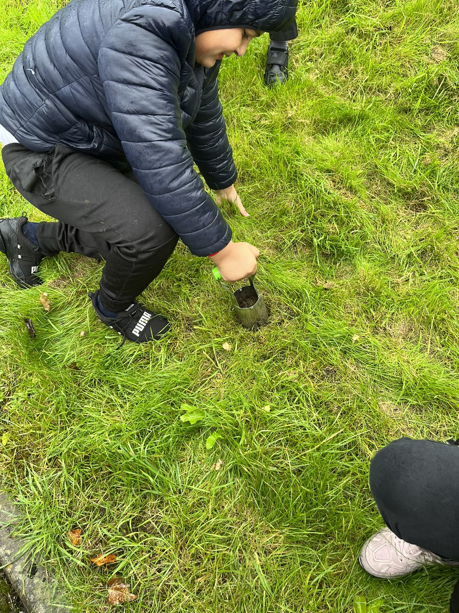 WestminsterBD3's tweet photo. Spring bulb planting in the rain @WestminsterBD3 @WeAreBDAT @EcoSchools https://t.co/bW5CPg4XAu