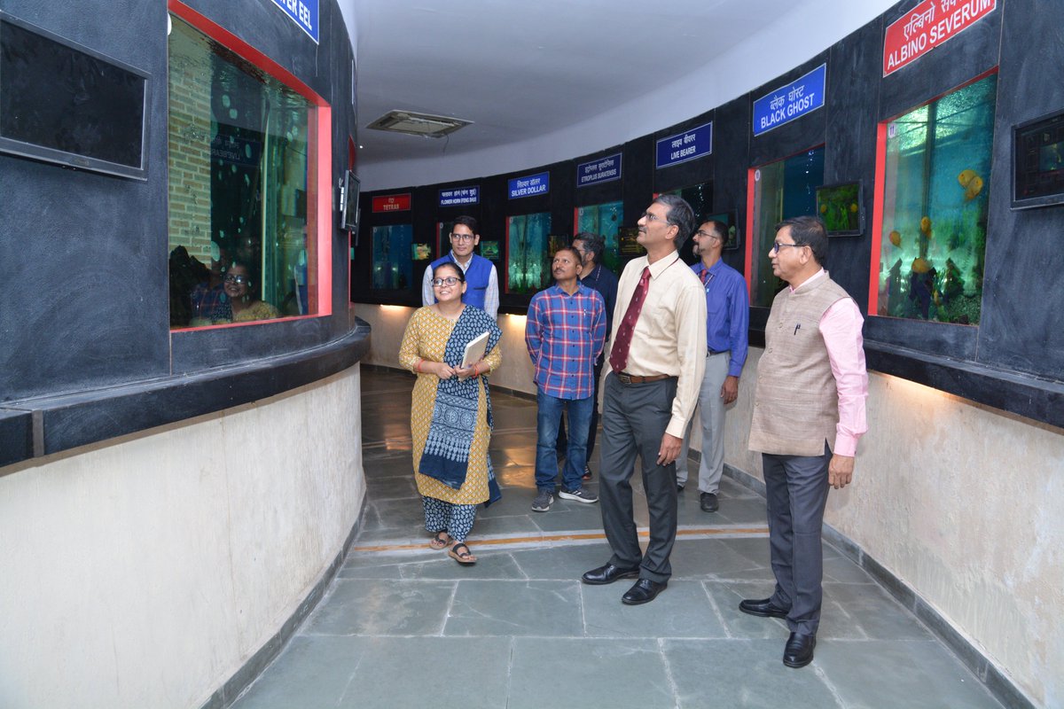 ICAR_NBFGR_LKO's tweet photo. A scientific team from @DRDO_India visited @ICAR_NBFGR_LKO’s research facilities (Laboratories, including the National Repository on Fish Cell Lines, Cryo-banking, National Fish Museum &amp; Repository and Ganga Aquarium). @icarindia  #NBFGR https://t.co/DelW4Wwav9