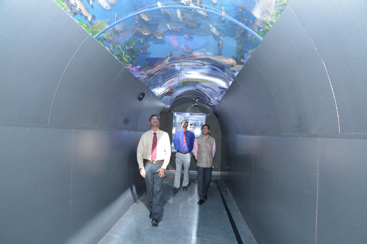 ICAR_NBFGR_LKO's tweet photo. A scientific team from @DRDO_India visited @ICAR_NBFGR_LKO’s research facilities (Laboratories, including the National Repository on Fish Cell Lines, Cryo-banking, National Fish Museum &amp; Repository and Ganga Aquarium). @icarindia  #NBFGR https://t.co/DelW4Wwav9
