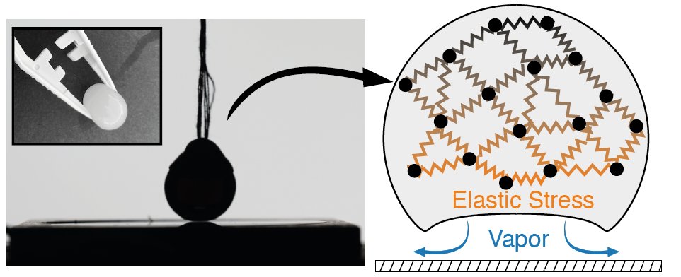 Jack Binysh (@jackbinysh) on Twitter photo Levitating soft solids with the Leidenfrost effect. Our work in <a href="/PhysRevLett/">Physical Review Letters</a>, with <a href="/ASouslov/">Anton Souslov</a> <a href="/swaitukaitis/">Scott Waitukaitis</a> and James Sprittles from <a href="/MicroNanoFlows/">MicroNanoFlows</a>. journals.aps.org/prl/abstract/1… Levitating soft solids with the Leidenfrost effect. Our work in <a href="/PhysRevLett/">Physical Review Letters</a>, with <a href="/ASouslov/">Anton Souslov</a> <a href="/swaitukaitis/">Scott Waitukaitis</a> and James Sprittles from <a href="/MicroNanoFlows/">MicroNanoFlows</a>. journals.aps.org/prl/abstract/1…