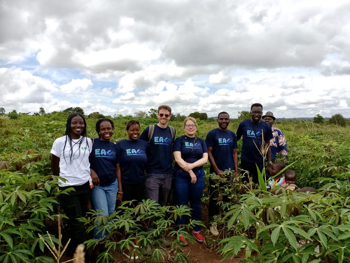 One of our tree plantations is now growing strongly #reforestation #rewild #Uganda #trees #treeplantation
