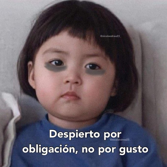 yo todas las mañanas