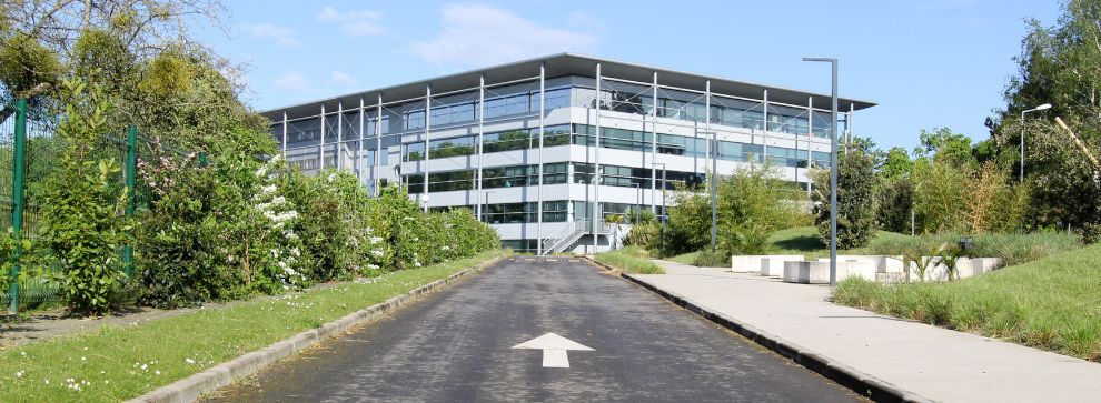 Classement Executive MBA <a href="/FT/">Financial Times</a>  2023 : L'EMBA de <a href="/RennesSB/">Rennes SB</a>  gagne 6 places cutt.ly/5wQ1UZlF @sabine_havard  <a href="/jpedronj/">Jordane PEDRON</a>