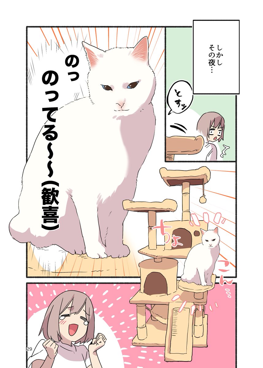 キャットタワーに勝った話(2/2) #漫画が読めるハッシュタグ